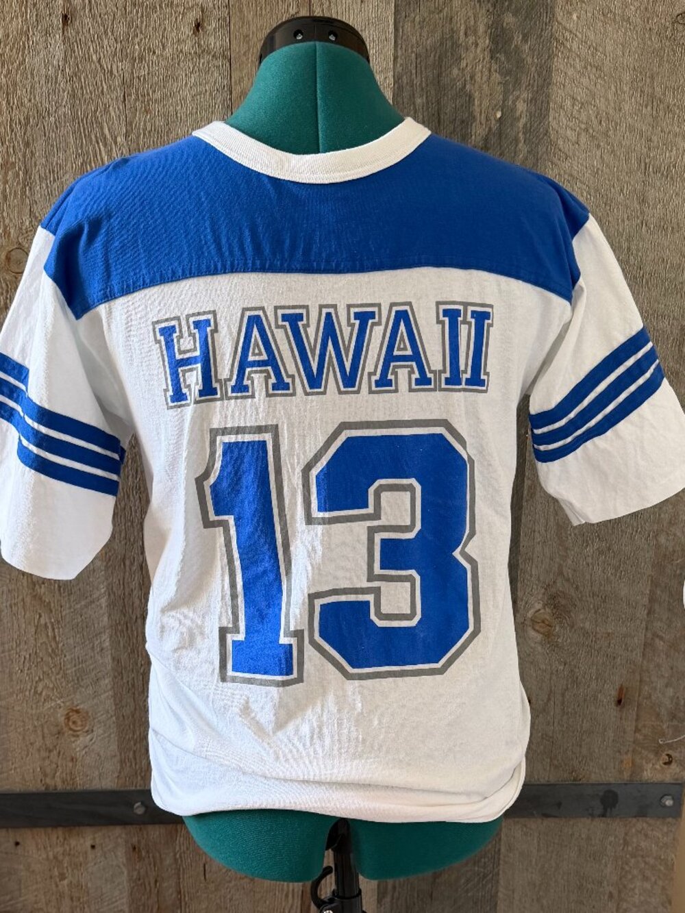 Hawaii Graphic Tshirt Stripped Short Sleeve Size Medium